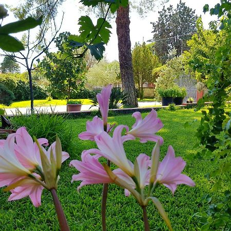 B&B Welcome Pedara Luaran gambar